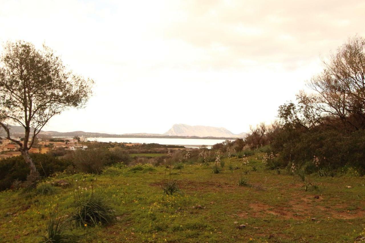 Residence La Funtana San Teodoro  Exterior photo